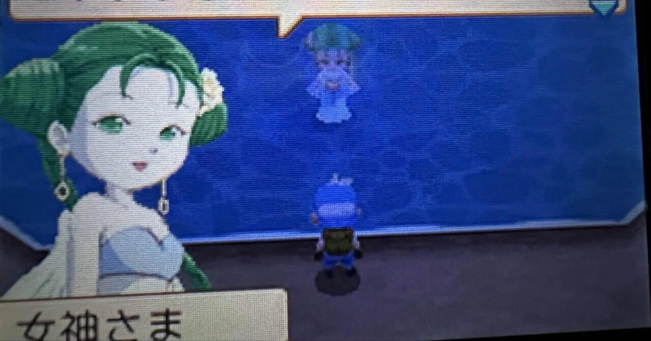 A report on my nearly complete playthrough of DS Harvest Moon