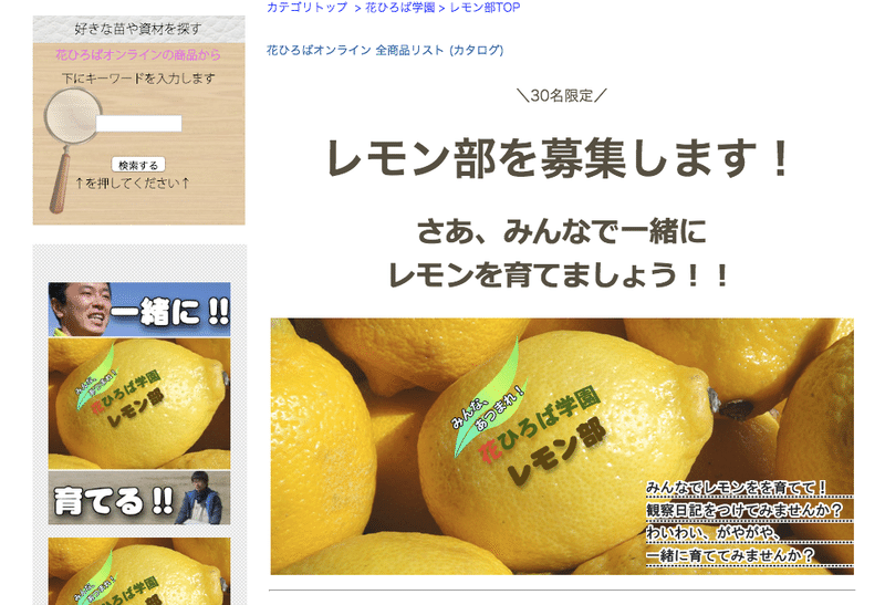オンリーワン型ec成功の秘訣 レモン苗木 認印 壁紙 あおけん Doddle K K Ceo Note オンリーワン型ec成功の秘訣 レモン苗木 認印 壁紙 あおけん Doddle K K Ceo Note