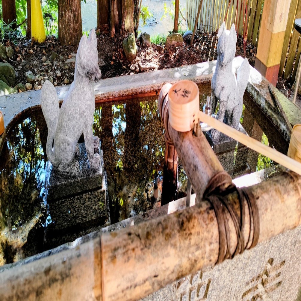 昨日、伊勢神宮に行ってきました🌿｜rika🌷