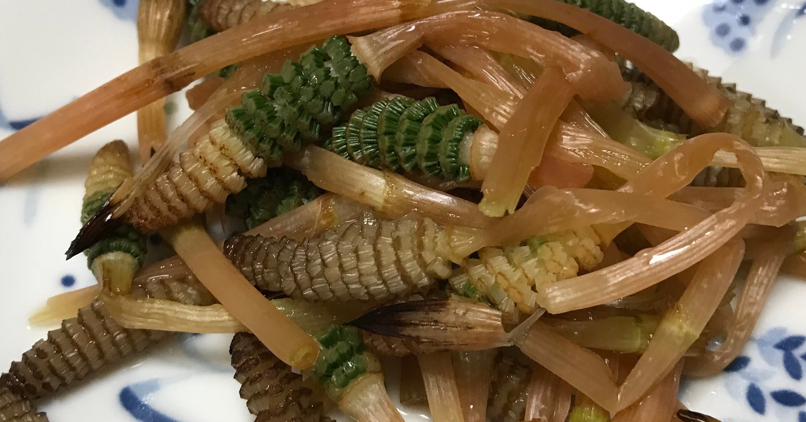 安い 土筆（つくし）、食べ尽くし、オススメしない雑草飯｜イノシシトトラ 野菜