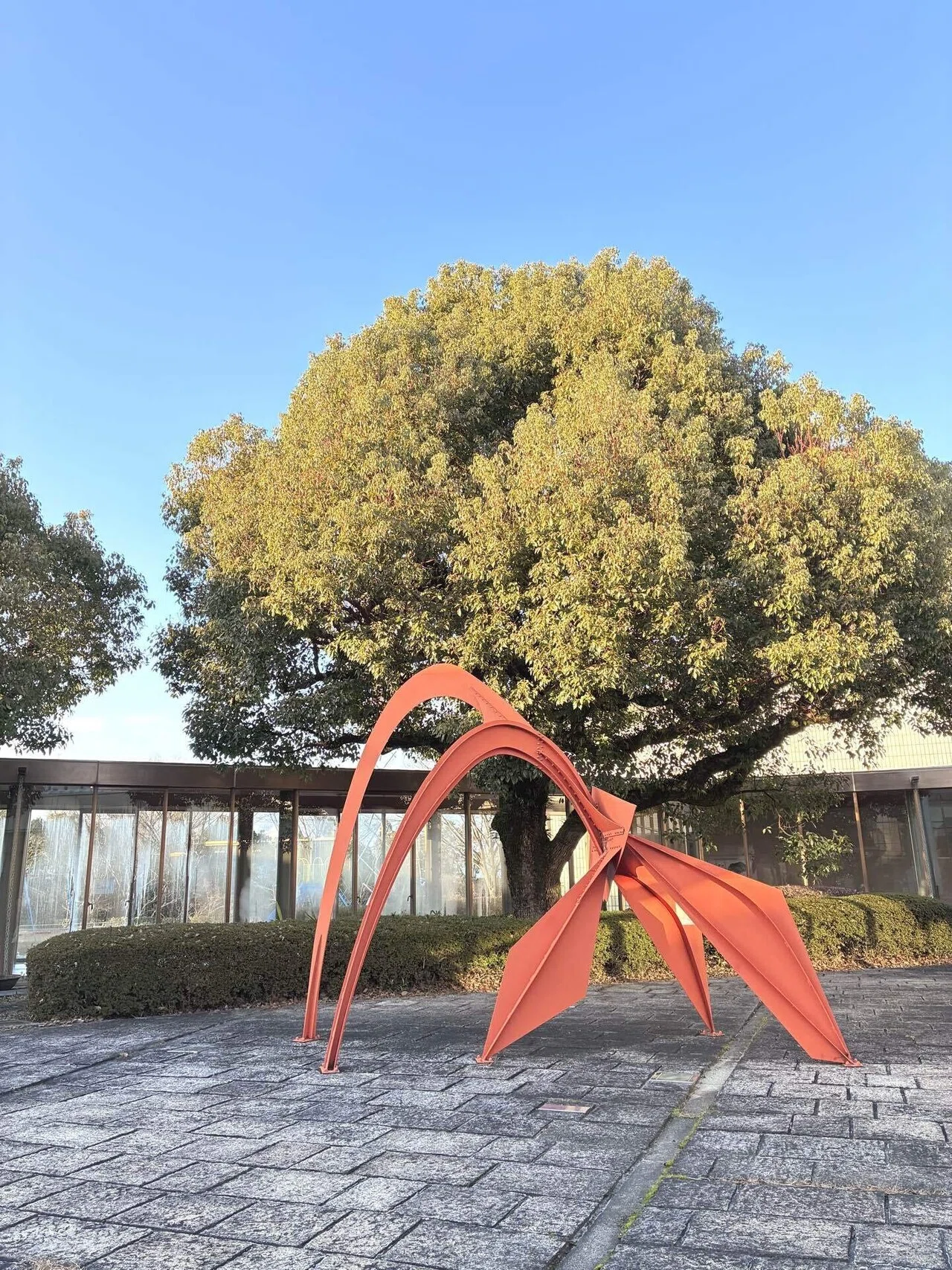 滋賀県立美術館〜冬景色の中のアート〜｜malo&yoko ｜美術旅エッセイ