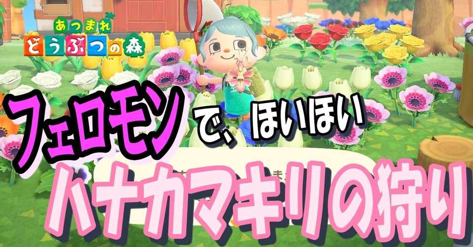 あつ森から学ぶ生物の話 ハナカマキリ について調べたら 花に擬態するだけで終わらなかった ヤバイ 緑木リョク Note