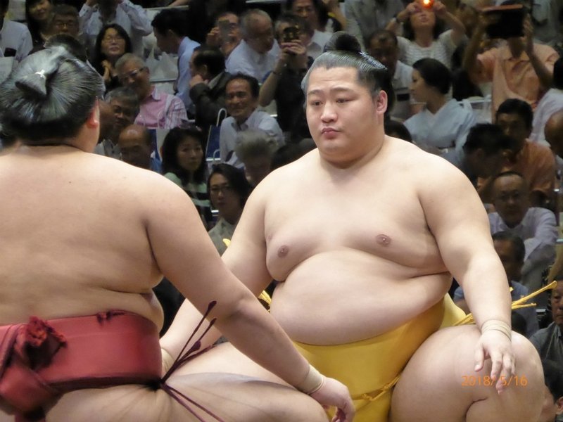 大相撲のマナー 初心者向けお相撲の楽しみ方 見どころ 締込 しめこみ と化粧まわし 井垣利英 人材教育家 メンタルトレーナー マナー講師 Note