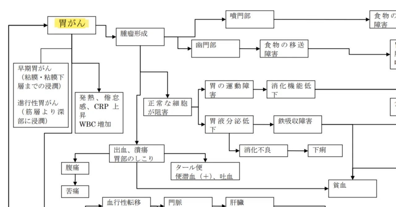 関連図「胃がん」2026年版｜タイパ重視の看護実習