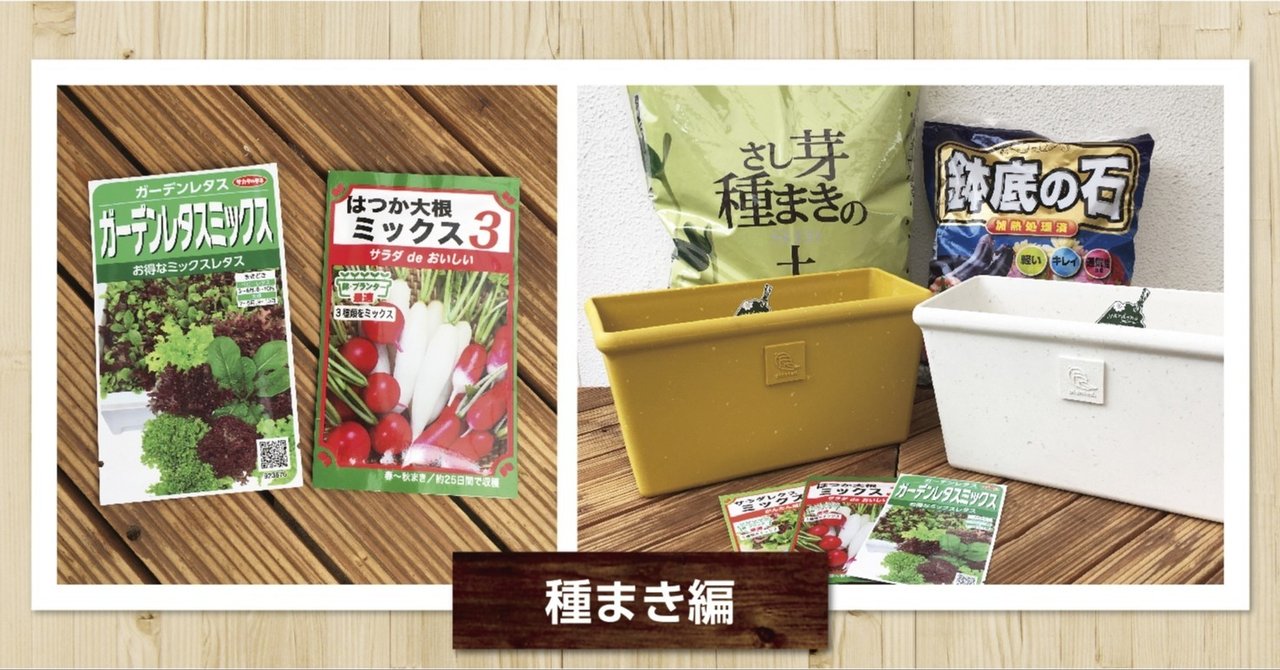 子どもと一緒におうちで初めてみよう 種から育てるプランター菜園 新鮮野菜を手軽にお家で作っちゃおう 種まき編 ナフコ スタッフ Nafco Staff Note