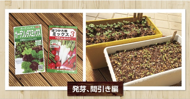 子どもと一緒におうちで初めてみよう 種から育てるプランター菜園 新鮮野菜を手軽にお家で 作っちゃおう 発芽 間引き編 ナフコ スタッフ Nafco Staff Note