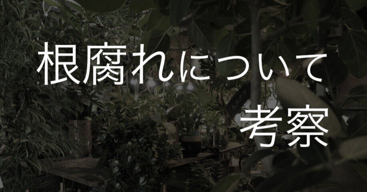 (必´∀`)根腐れ@プロフ( ´δ`読)　ご依頼品 根腐れ＞を考察する｜花屋のラフ