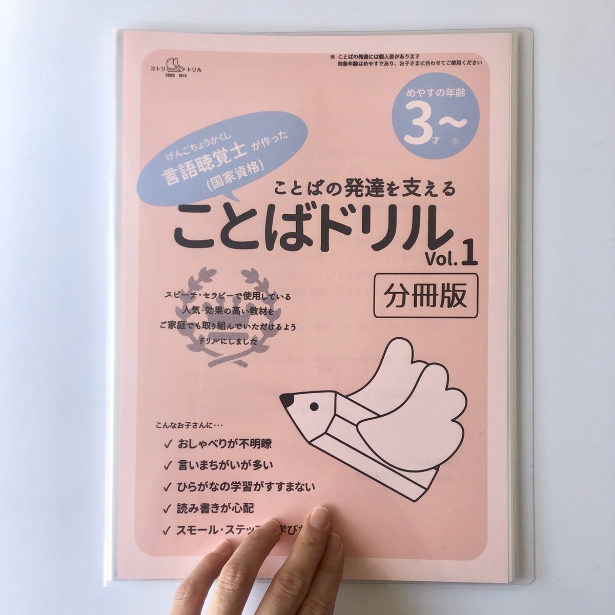 コトリドリルシリーズ、minneで100回販売を達成しました｜寺田