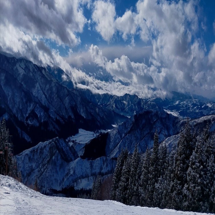 2026-01-11-Sun｜うぃかりだ