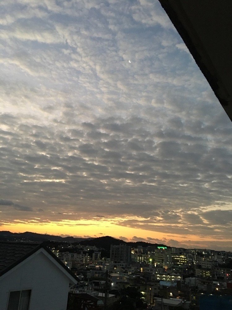 今日の朝の風景。玄関から
雲の間から三日月が！！