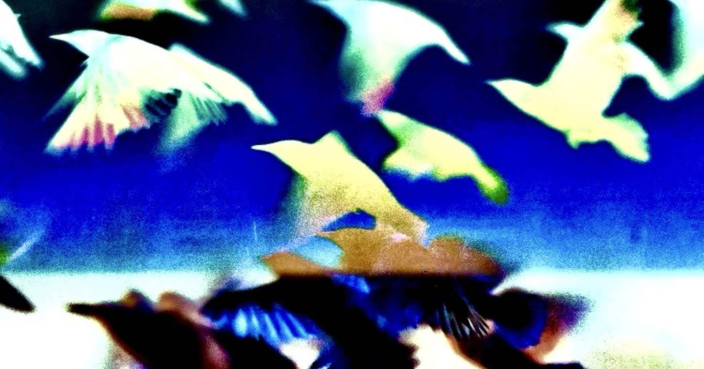 Perfect Sound｜深夜のコネチカール