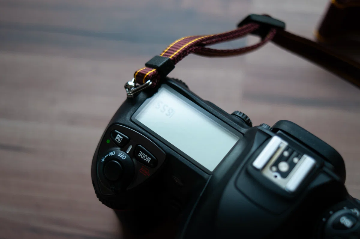 CCDの名機「Nikon D200」3ヶ月使用レビュー｜偏愛カメラ部