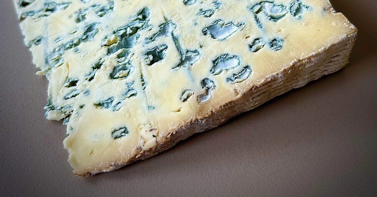 Etanbetsu Blue Cheese / Cheese Journey 76｜タロミルク