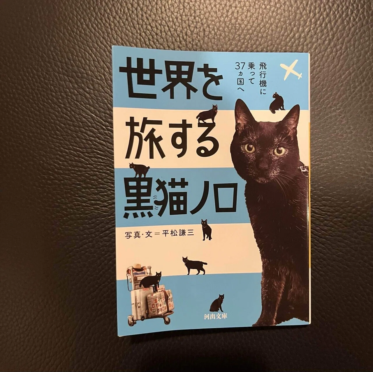 世界を旅する黒猫ノロ」｜くろしばcurosiva