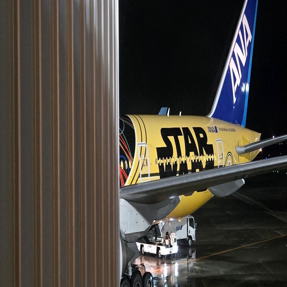 ANA 大島空港　ラストフライト　搭乗記念品 ANA 大島空港 ラストフライト 搭乗記念品