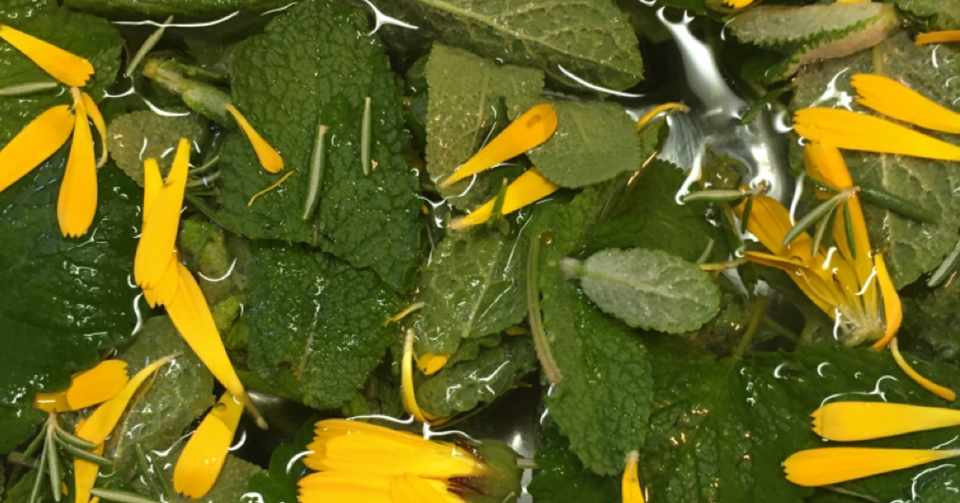 畑のハーブで手作りハーブソルト 落合瞳 Note