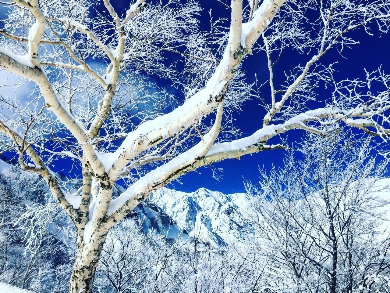 田舎暮らしの風景写真集 #最高に綺麗な雪景色|cnwriting