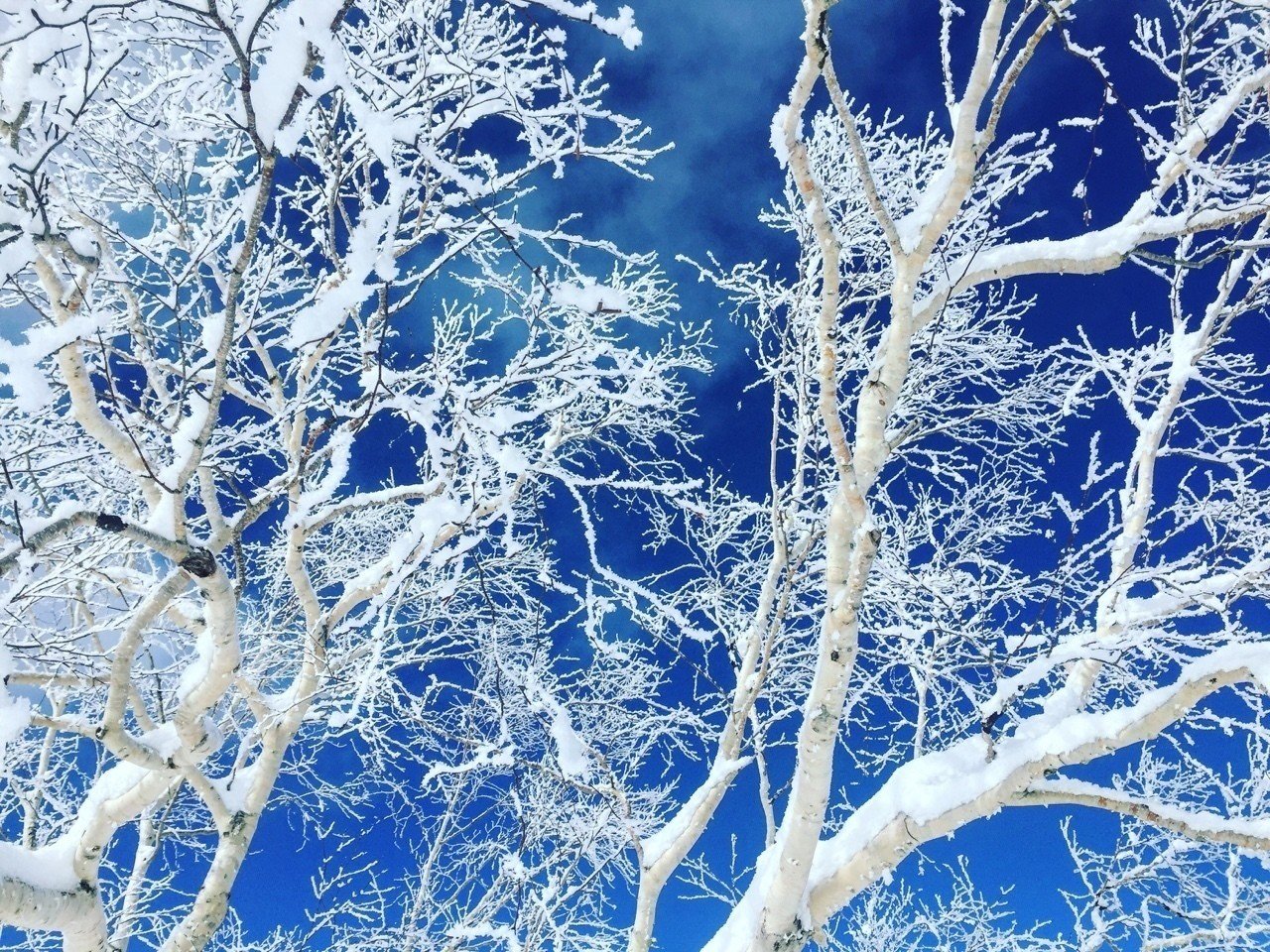 田舎暮らしの風景写真集 最高に綺麗な雪景色 Cnwriting Note