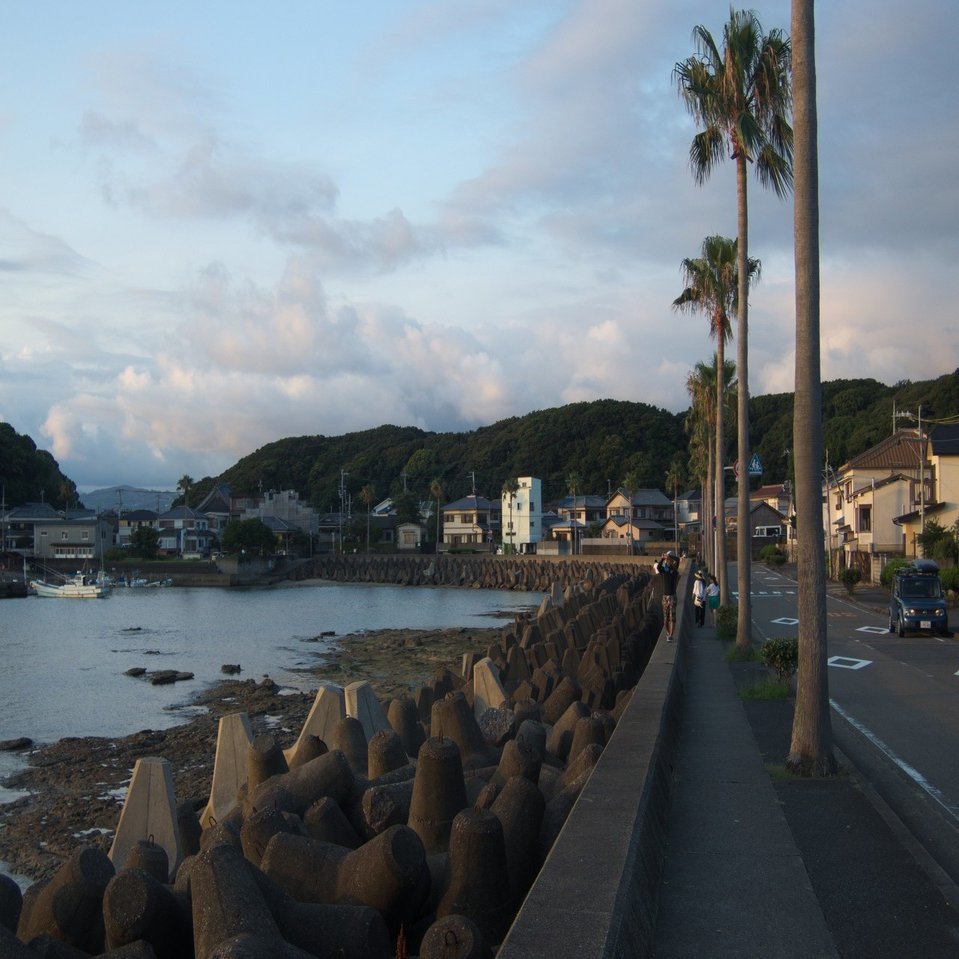 ヤシの木と白浜 京阪神の人々の理想郷として 白井大河 Note