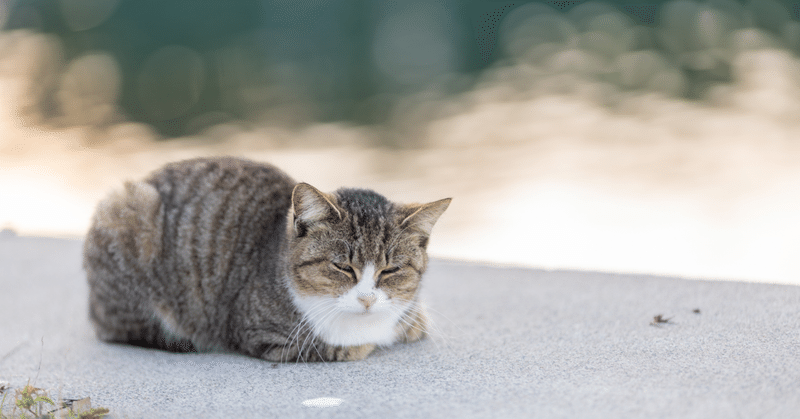 近況　情報処理技術者試験の再編など