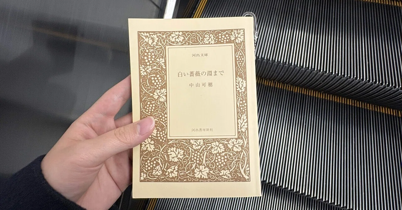 好きな本のはなし 「白い薔薇の淵まで」中山可穂｜実木芙蓉子