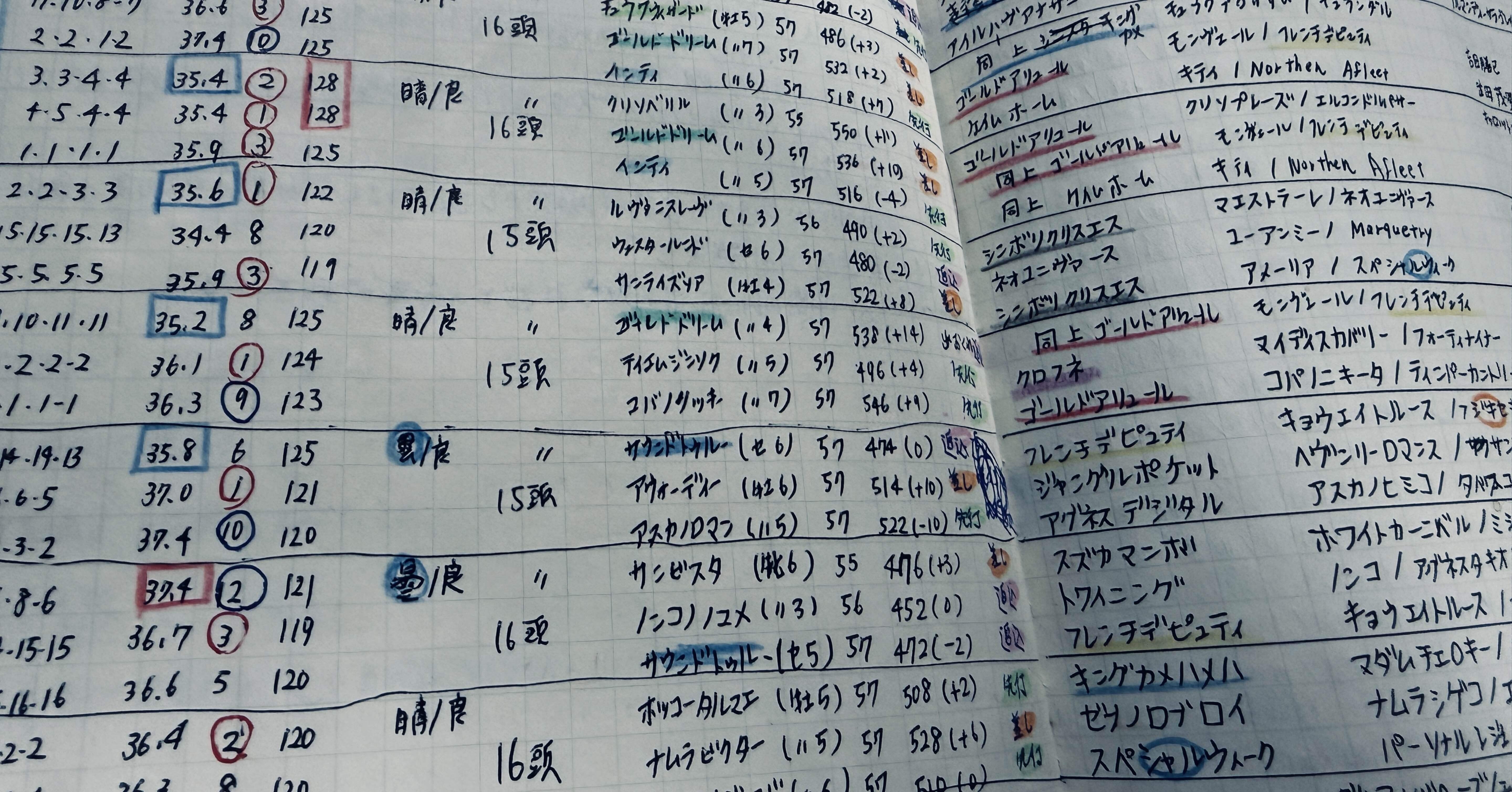 弱点・予習・要点  ノート 書き込み（有） 馬ノートの弱点｜cham