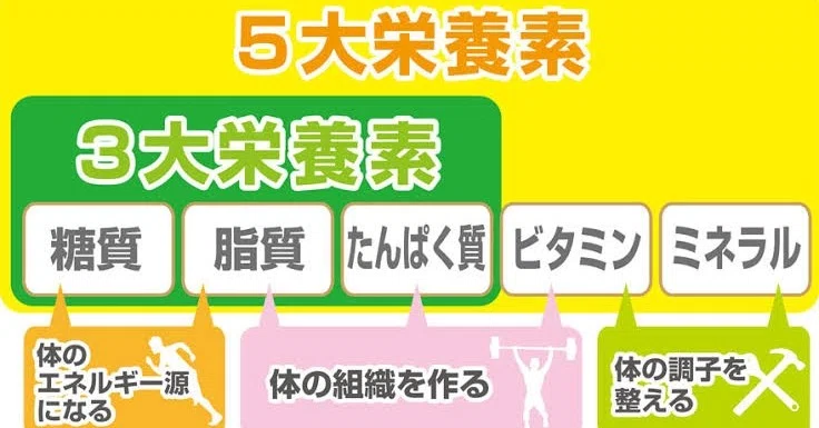 5大栄養素と3大機能 矢立昂大 5786 Downtown Fitness Note