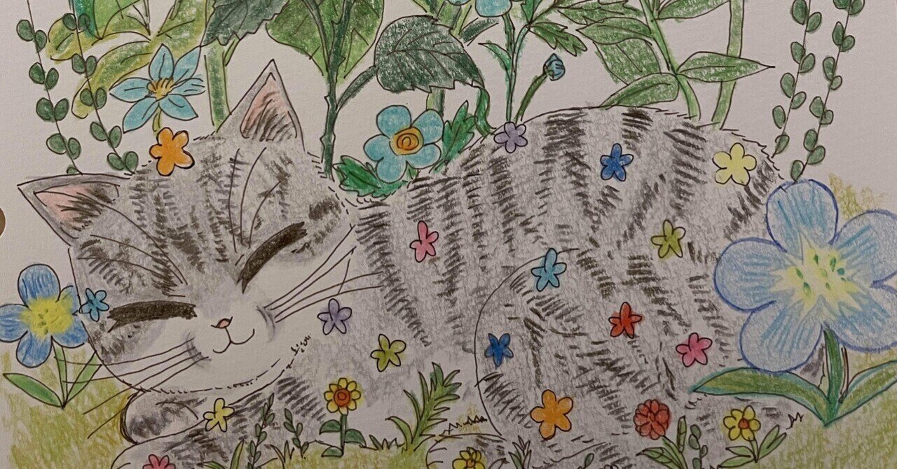 猫お絵描き〜^._.^♡｜星松錦