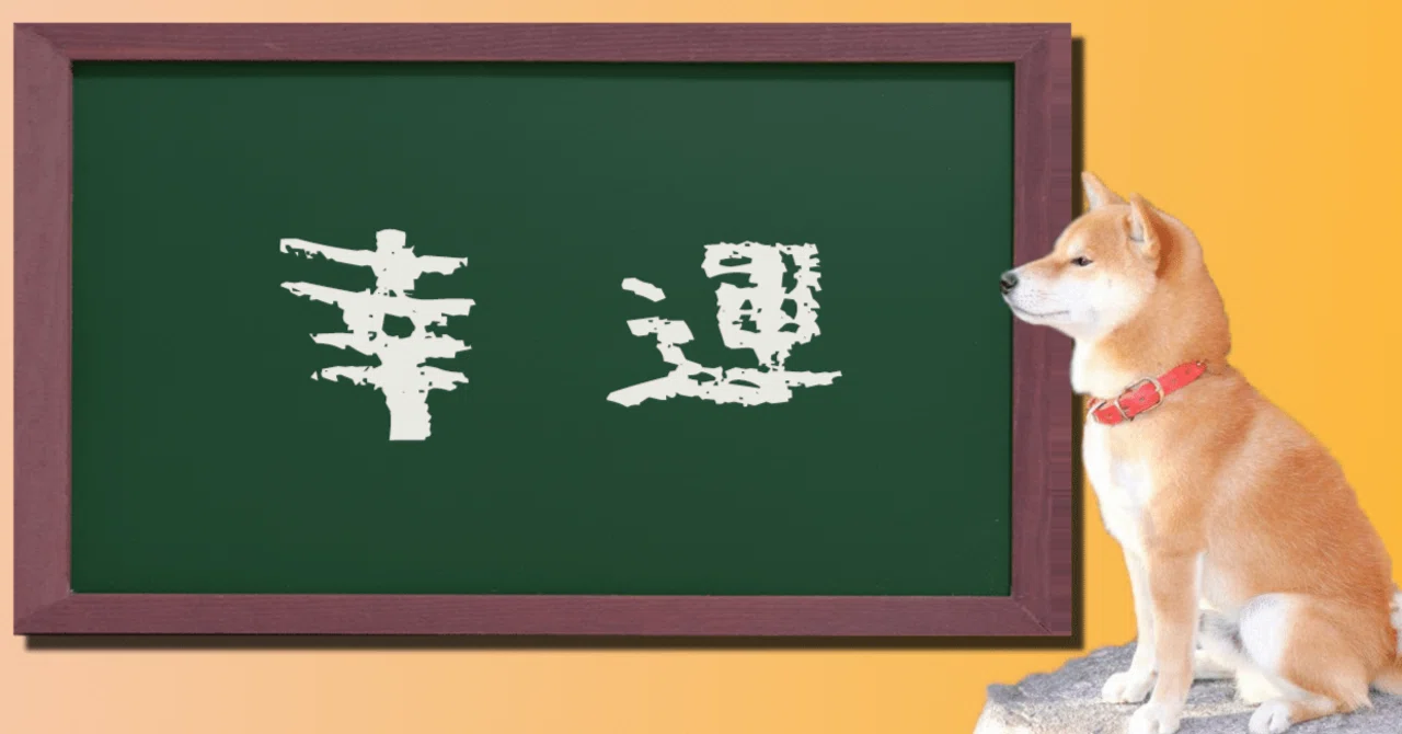 What is the way to improve your luck?｜iwashi