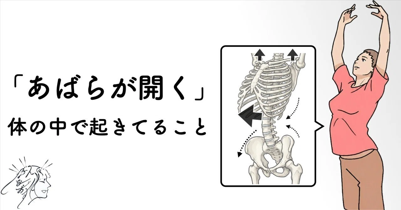 バレエで「あばらが開く」と言われるとき、体の中で何が起きているのか 