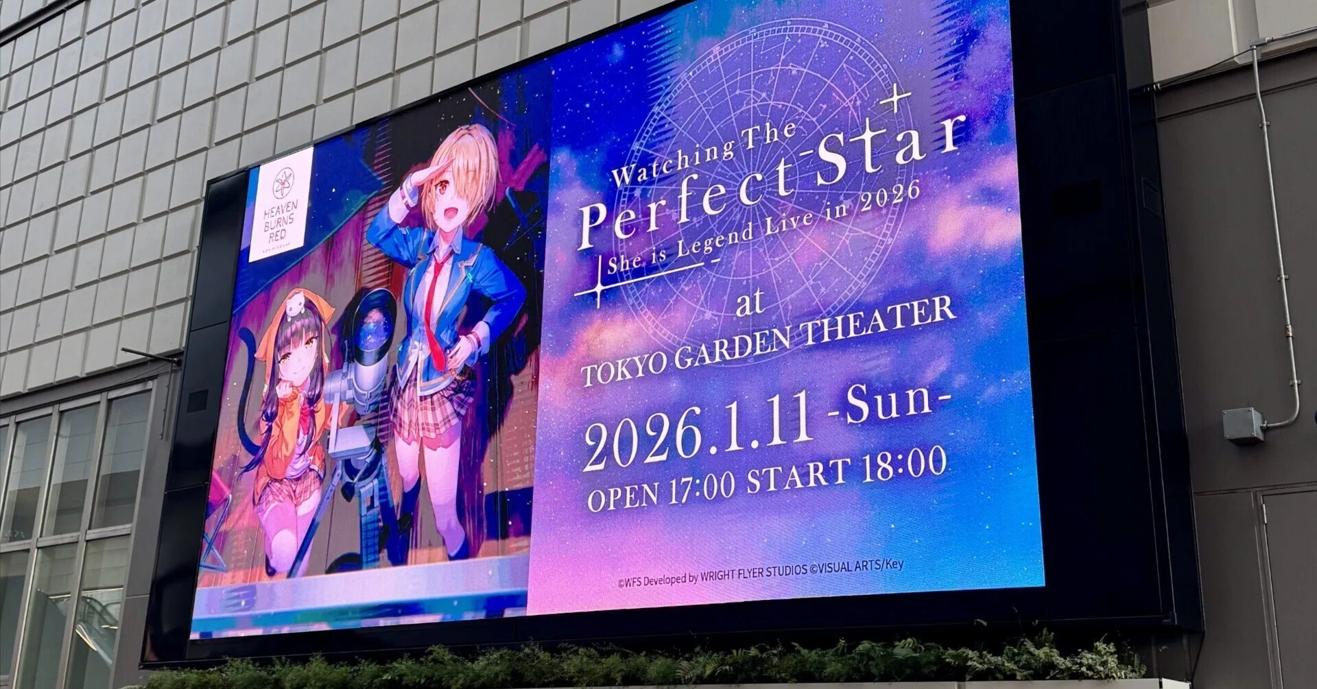 ライブ感想】She is Legend東京公演「Watching The Perfect Star」が