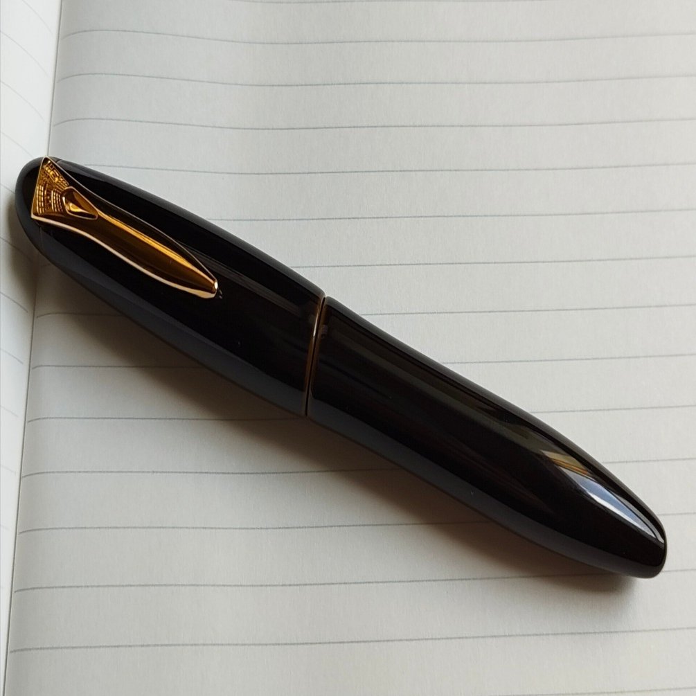 プラチナ万年筆 出雲 枇杷溜をレビュー｜やまどり