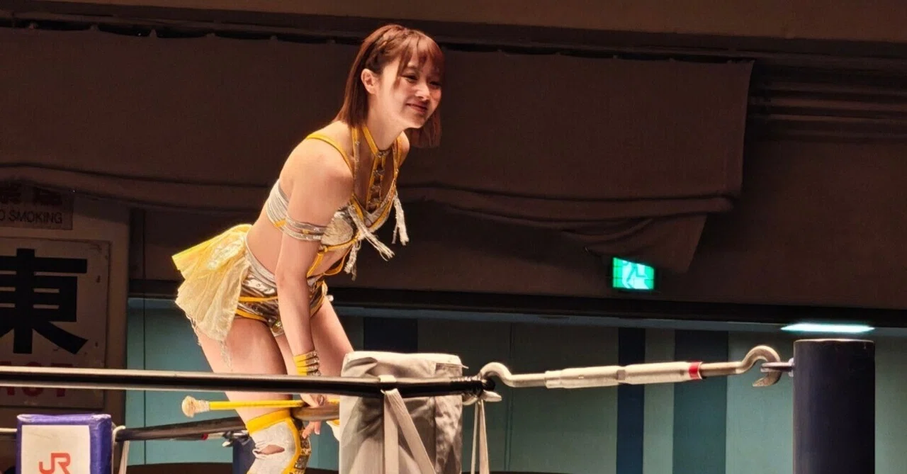 なつぽい可愛かった（スターダム初観戦感想）｜ぽっさん