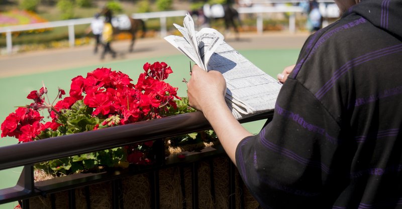 回収率170 で安定的な馬券収益をあげる方法を大公開 一口馬主マスターb Note