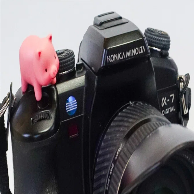 ディック スギのカメラ遍歴（その6） / コニカミノルタα7デジタルの
