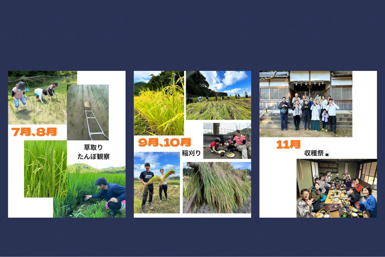 Let's live with passion! Let's grow rice with passion!!｜お米隊長ようこ