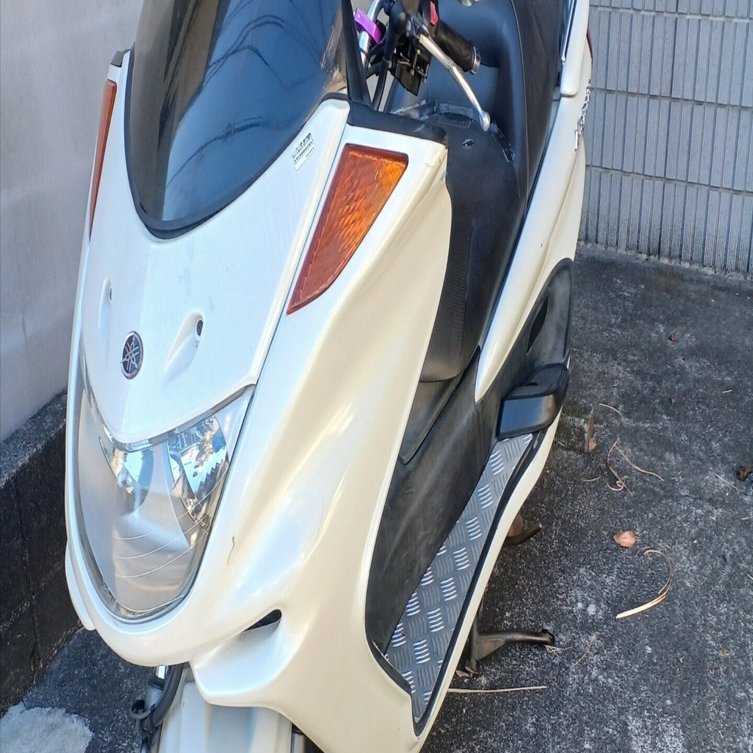 4d9マジェスティ 2026#1 セルスタート改善｜市井一人