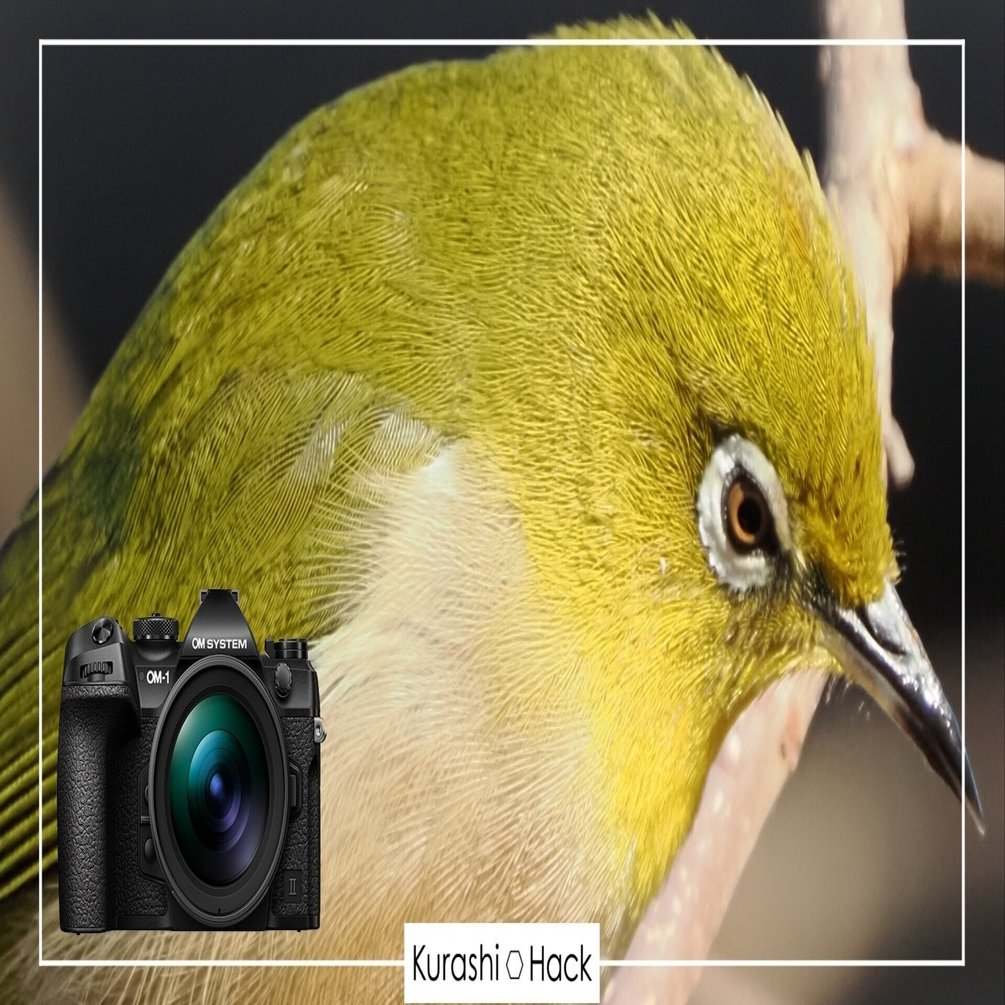 テレコンで実現する最強の手持ち超望遠システム【OM SYSTEM MC-14 実写