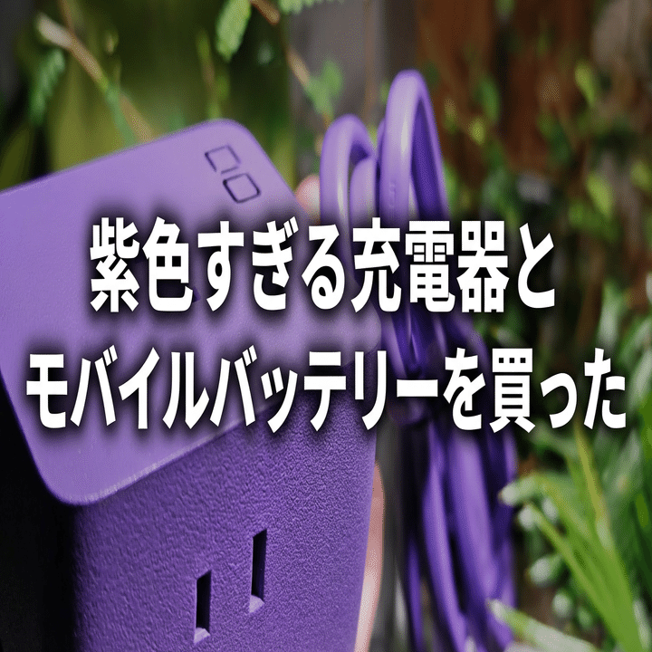 紫色 充電器 Amazon.co.jp: [ETERNYA]【メーカー開発者・推奨】USB C ケーブル 【1
