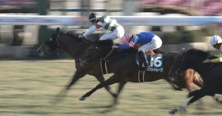 レース回顧Vol.650】第60回日刊スポーツ賞シンザン記念｜それみあ