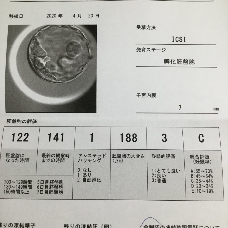 Klc転院後 採卵 凍結 子宮鏡手術 移植までの記録 にこ天使ママ Note Klc転院後 採卵 凍結 子宮鏡手術 移植までの記録 にこ天使ママ Note