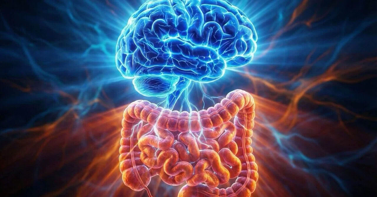 最新｜あなたの腸内細菌は、脳の働きを密かに変えているかもしれない