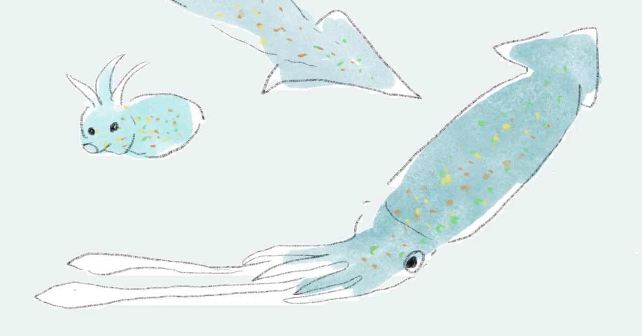 [Essay] The Day I Was Told, 'Let's Go Eat Squid'｜ちょこしょう子