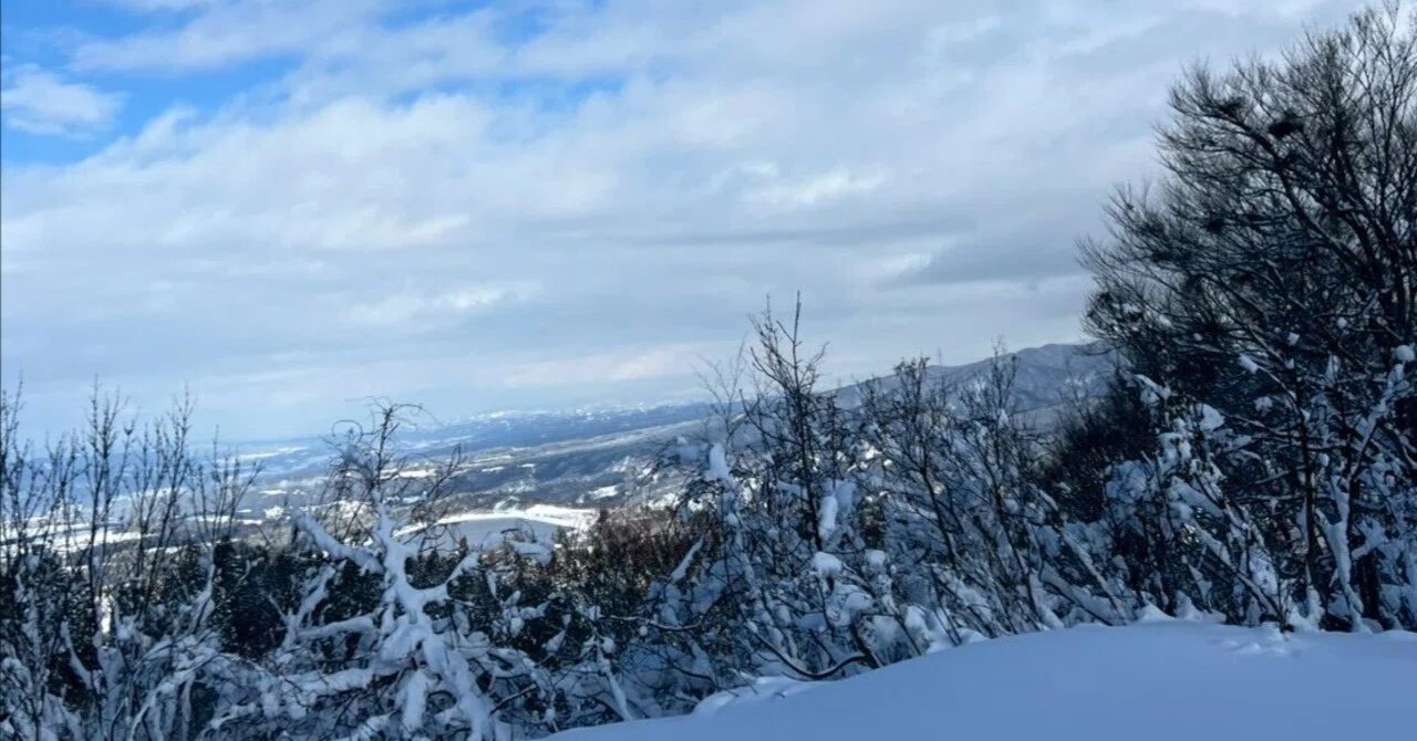サーストン： 3次元多様体の幾何学とトポロジー｜ari1110