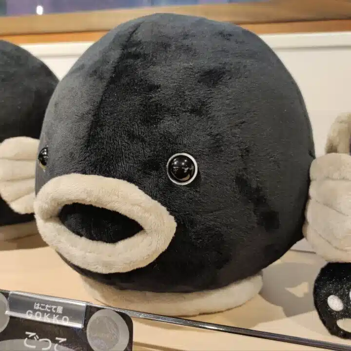 gokko＠アラサー公務員