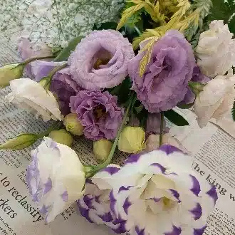 花あかり
