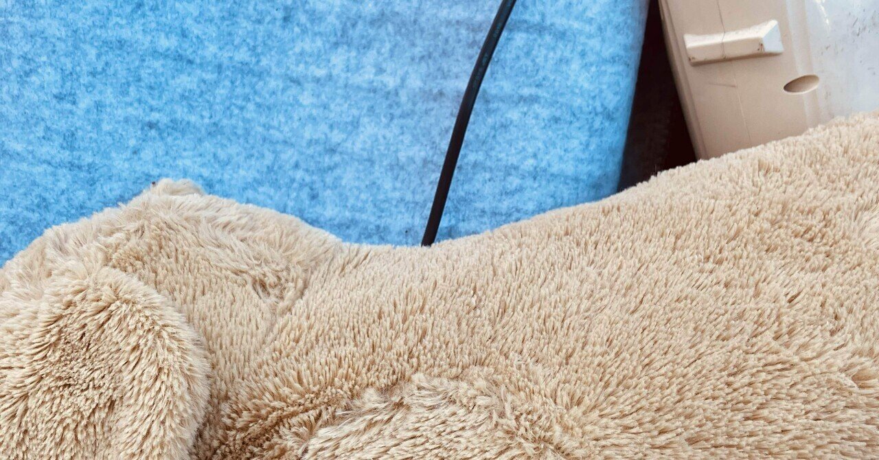 断捨離｜light_beetle336