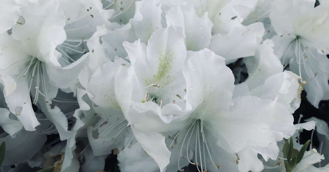 漫画 ボクとわたしの10年恋 星 千里 Note