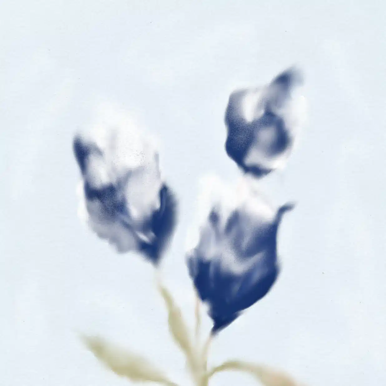yukino.s