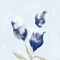 yukino.s
